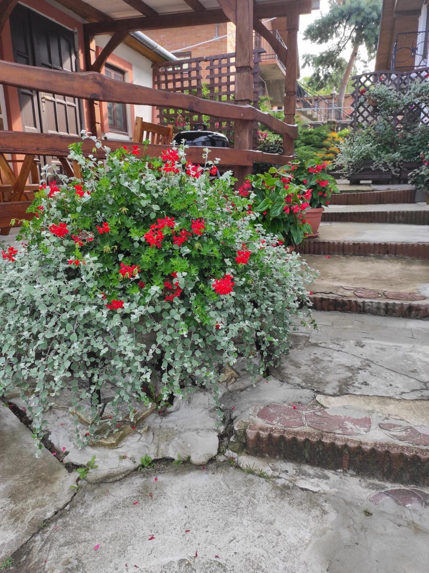 Stadnina Koni Tarka Zwierzyniec Exterior foto
